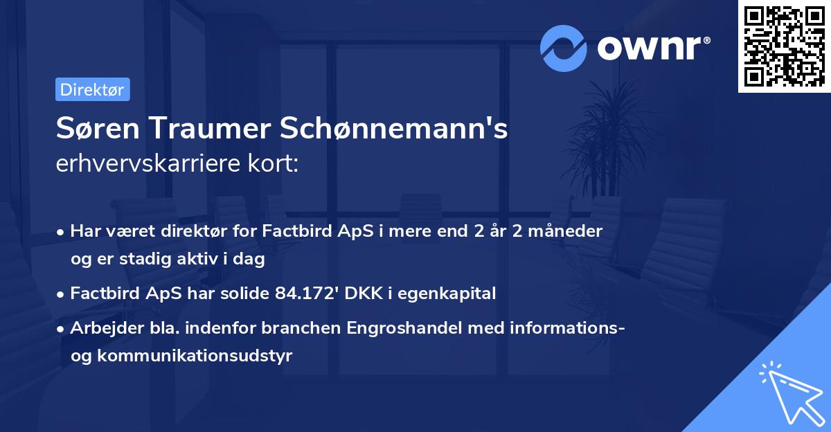 Søren Traumer Schønnemann's erhvervskarriere kort