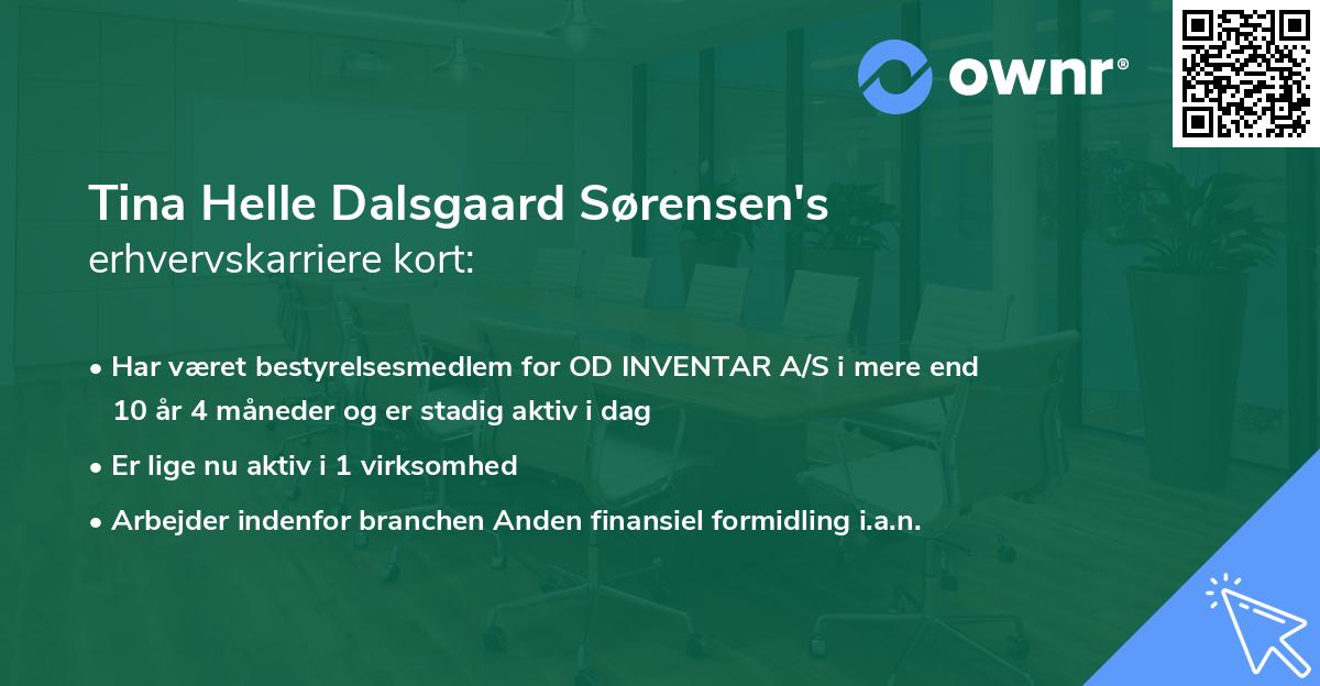 Tina Helle Dalsgaard Sørensen's erhvervskarriere kort