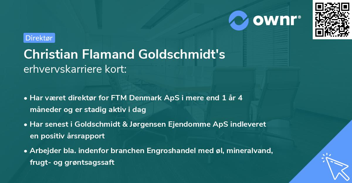 Christian Flamand Goldschmidt's erhvervskarriere kort