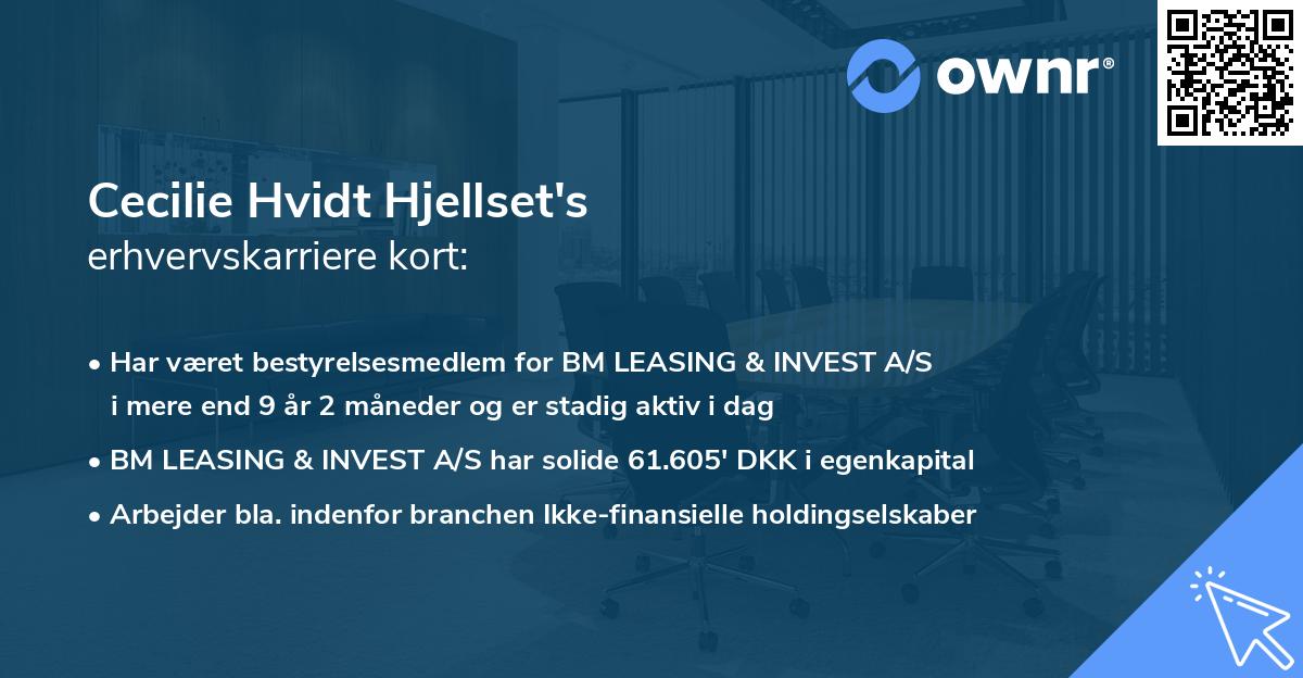 Cecilie Hvidt Hjellset's erhvervskarriere kort