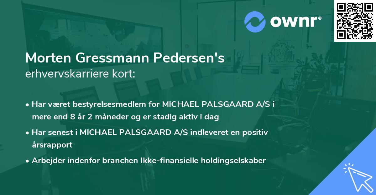 Morten Gressmann Pedersen's erhvervskarriere kort