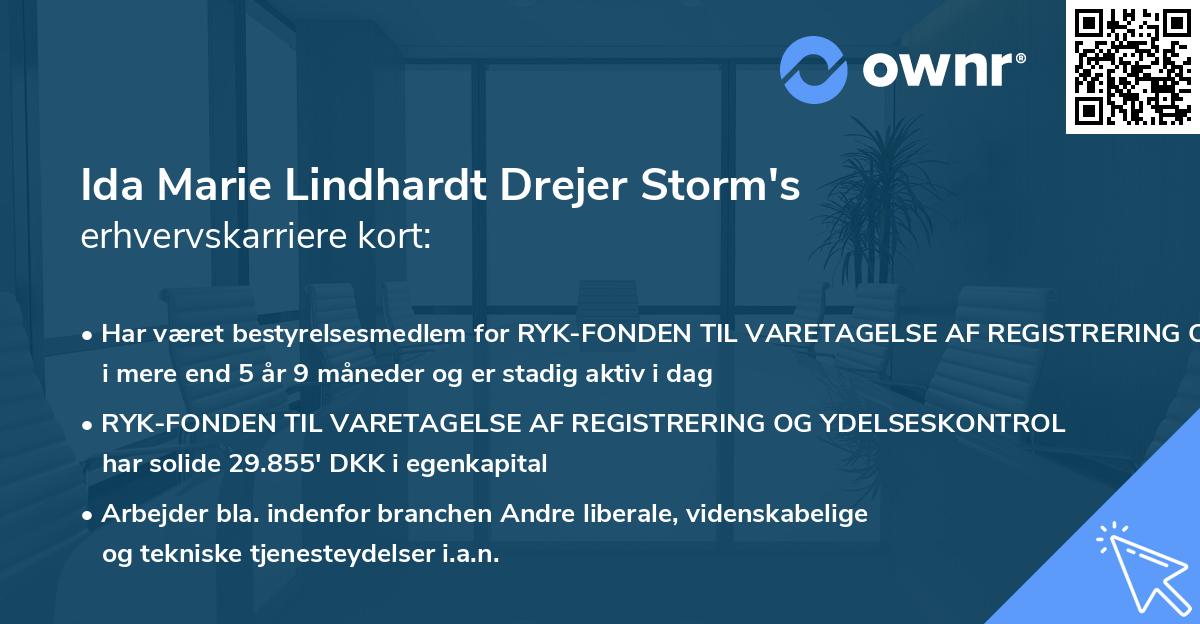 Ida Marie Lindhardt Drejer Storm's erhvervskarriere kort