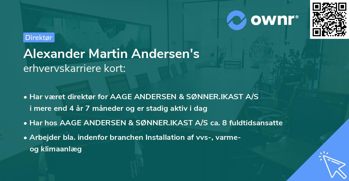 Alexander Martin Andersen's erhvervskarriere kort