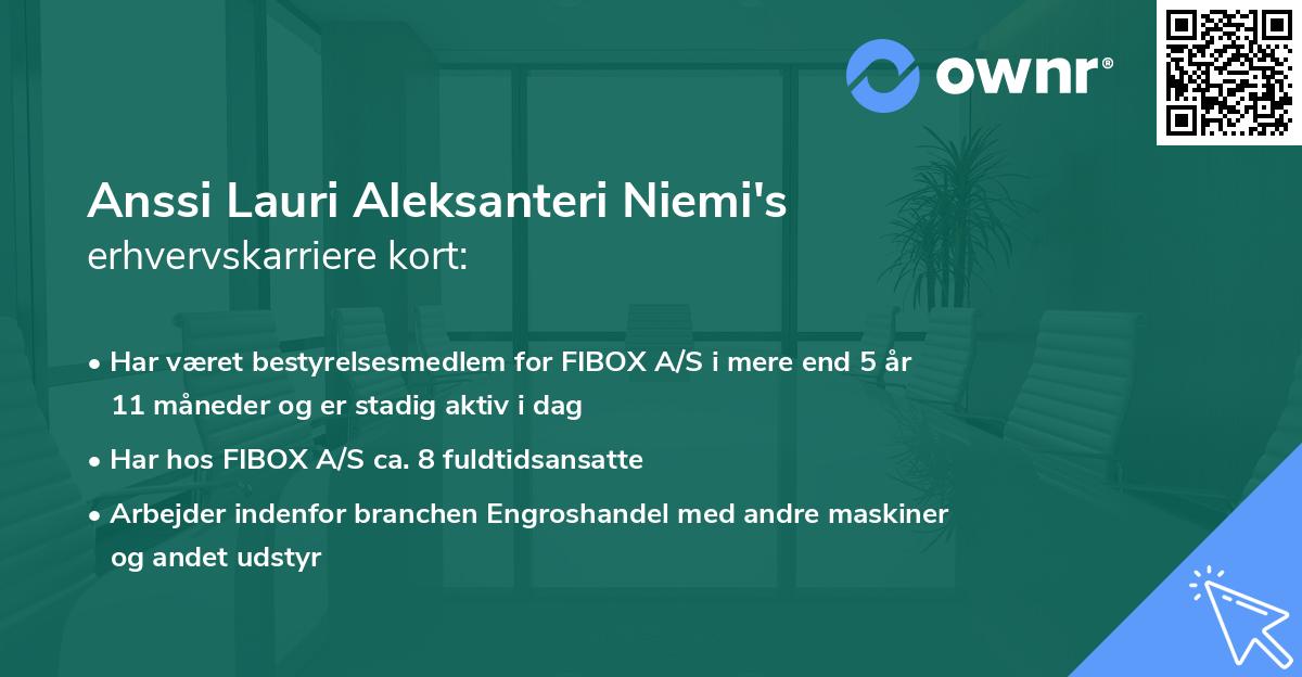 Anssi Lauri Aleksanteri Niemi's erhvervskarriere kort