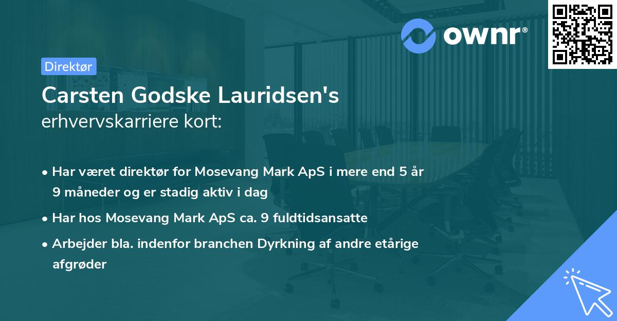 Carsten Godske Lauridsen's erhvervskarriere kort