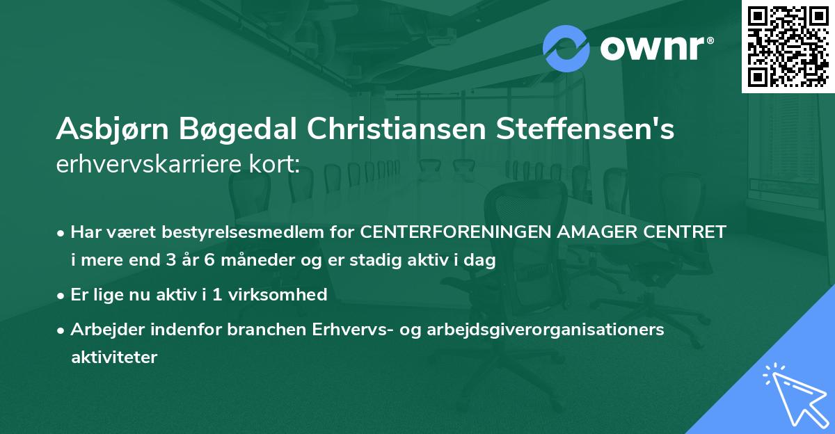 Asbjørn Bøgedal Christiansen Steffensen's erhvervskarriere kort