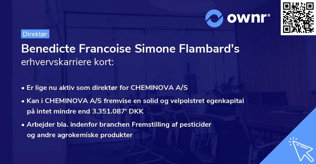 Benedicte Francoise Simone Flambard's erhvervskarriere kort