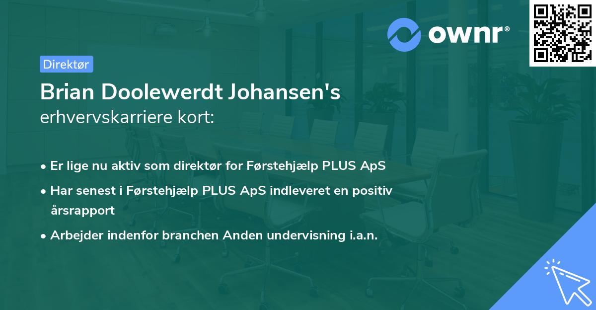 Brian Doolewerdt Johansen's erhvervskarriere kort