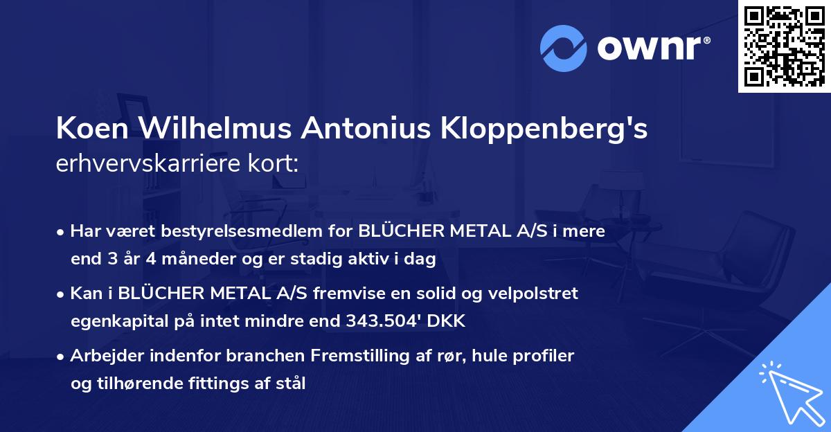 Koen Wilhelmus Antonius Kloppenberg's erhvervskarriere kort