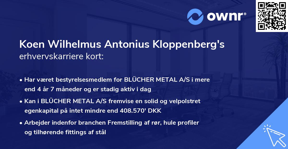 Koen Wilhelmus Antonius Kloppenberg's erhvervskarriere kort
