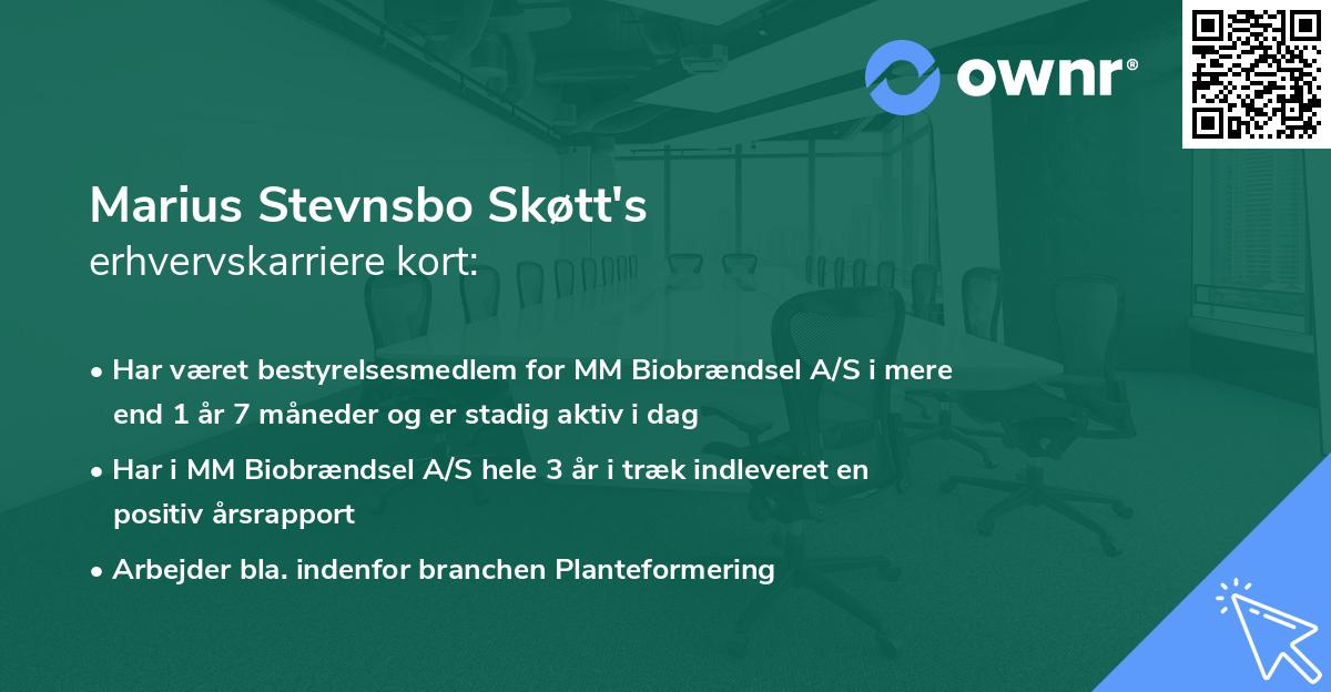Marius Stevnsbo Skøtt's erhvervskarriere kort