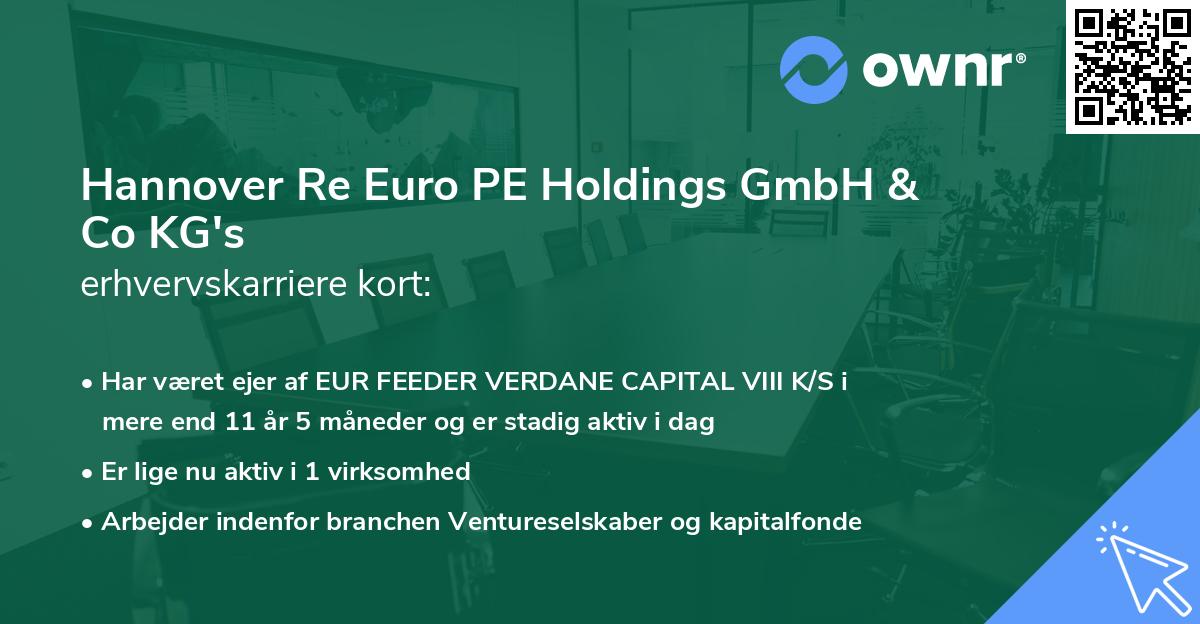 Hannover Re Euro PE Holdings GmbH & Co KG's erhvervskarriere kort