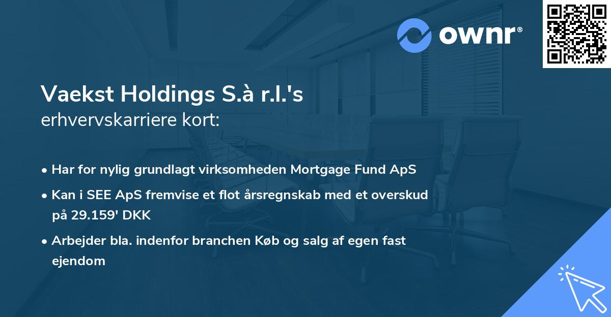 Vaekst Holdings S.à r.l.'s erhvervskarriere kort