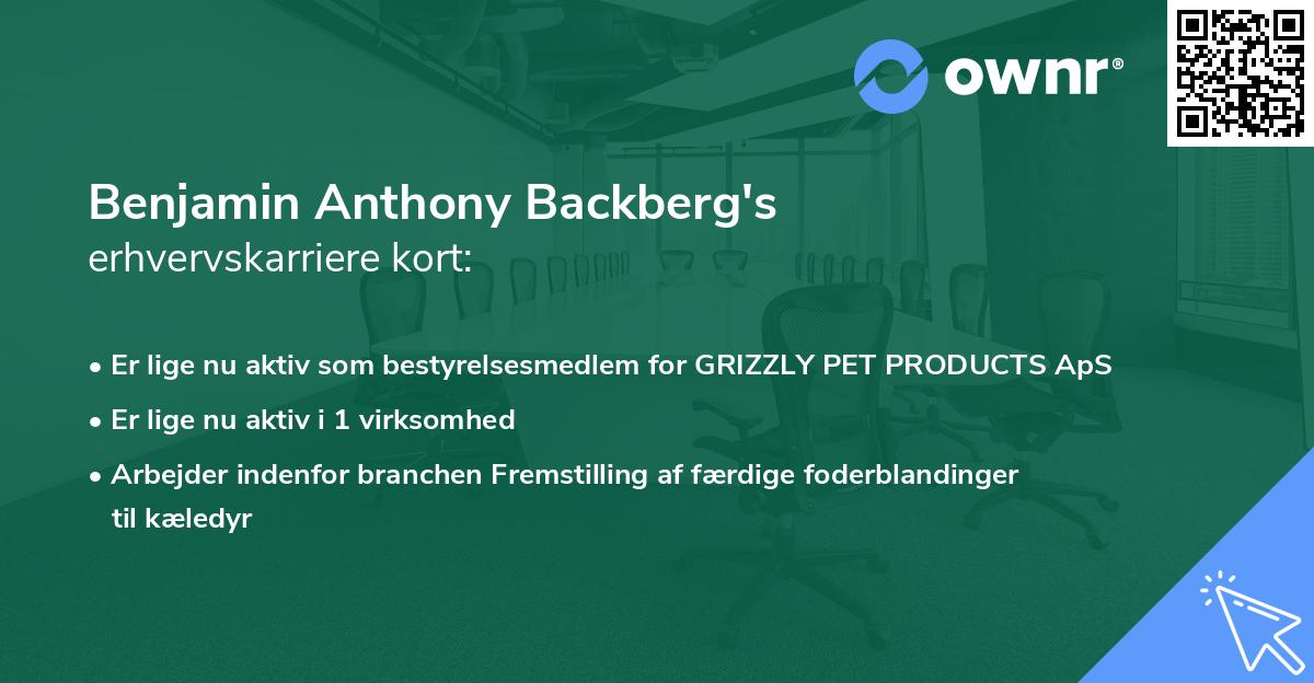 Benjamin Anthony Backberg's erhvervskarriere kort
