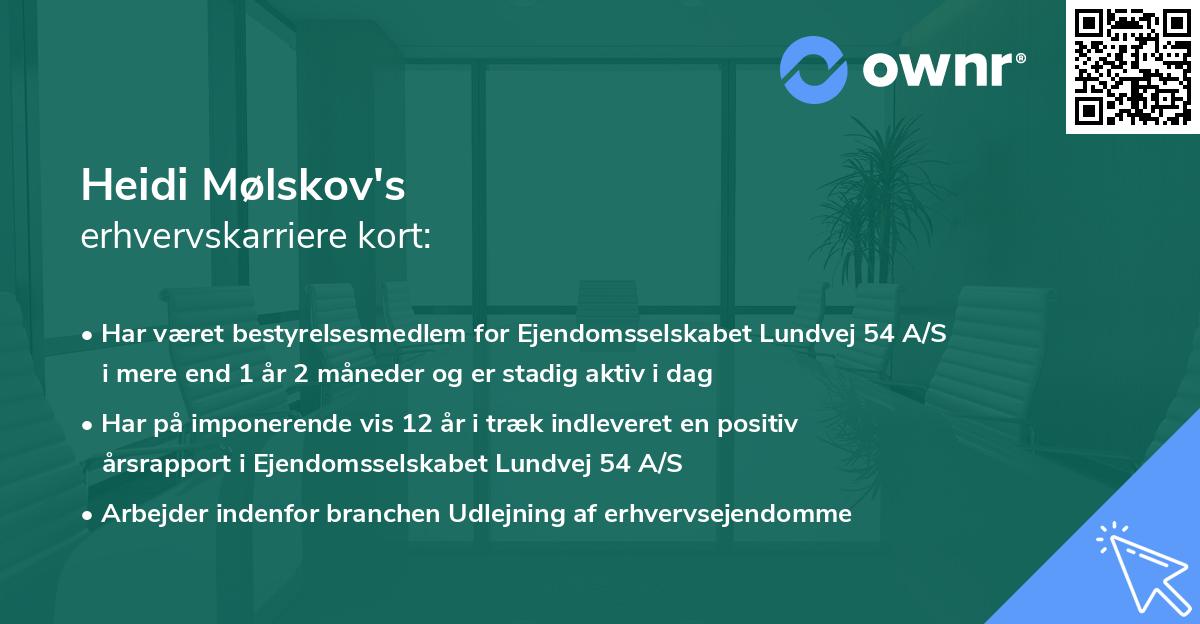 Heidi Mølskov's erhvervskarriere kort