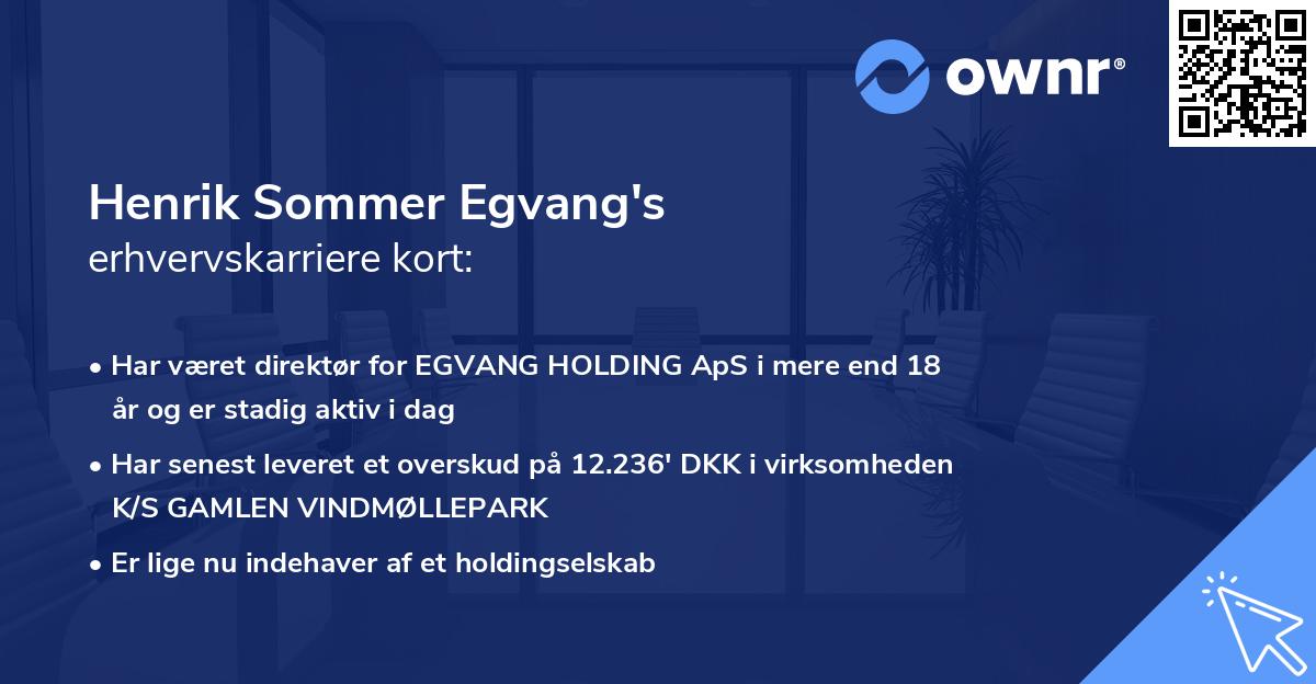 Henrik Sommer Egvang's erhvervskarriere kort