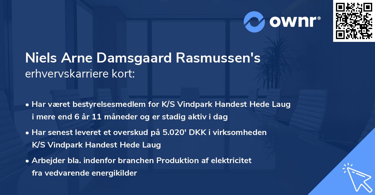 Niels Arne Damsgaard Rasmussen's erhvervskarriere kort