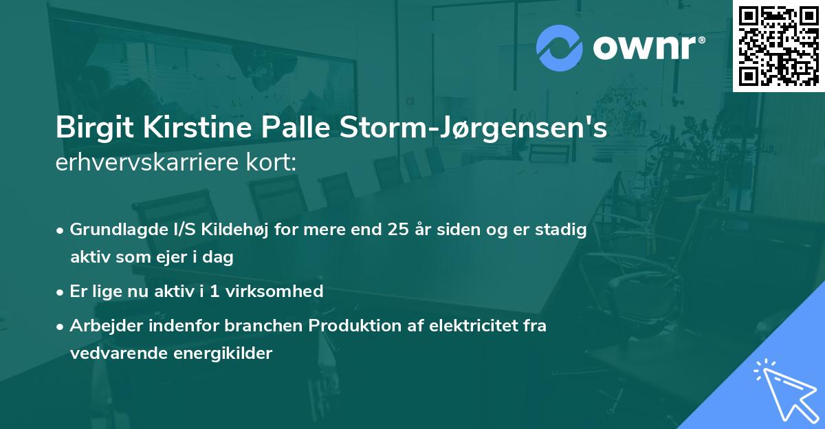 Birgit Kirstine Palle Storm-Jørgensen's erhvervskarriere kort