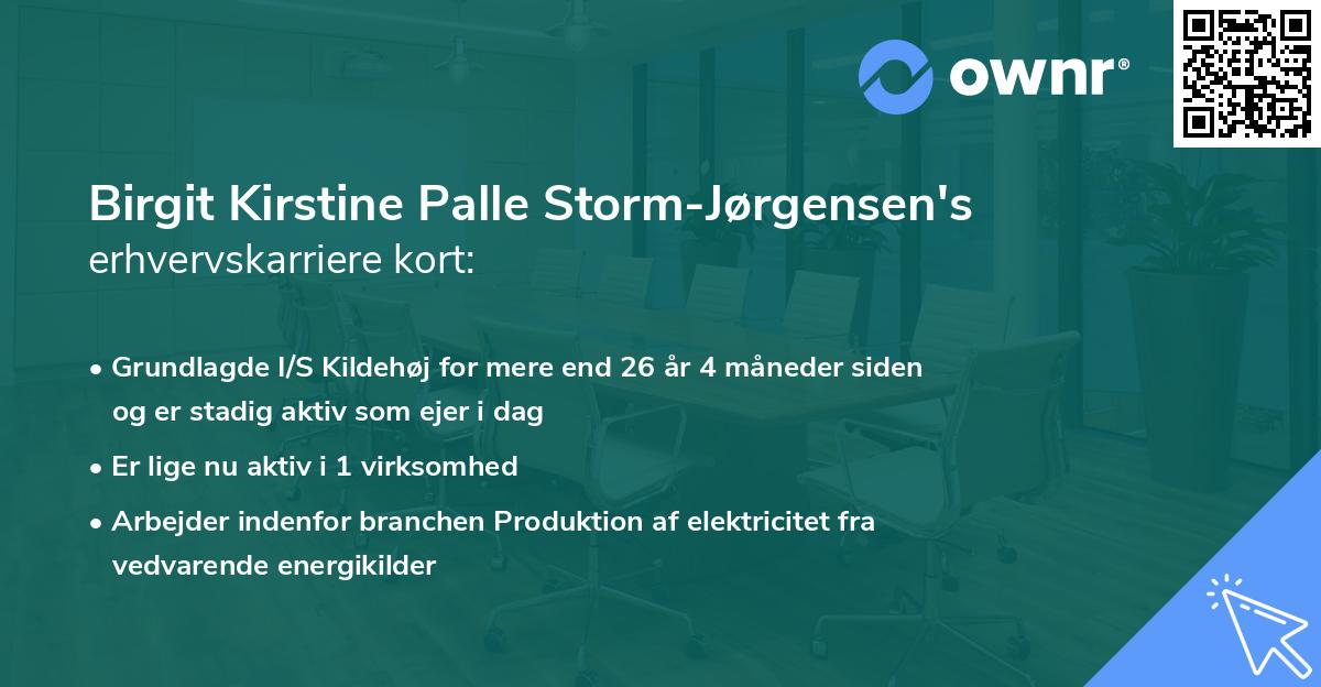 Birgit Kirstine Palle Storm-Jørgensen's erhvervskarriere kort