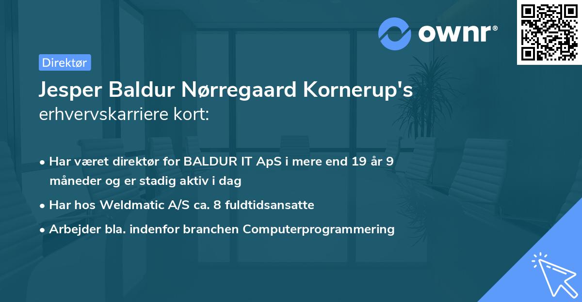 Jesper Baldur Nørregaard Kornerup's erhvervskarriere kort