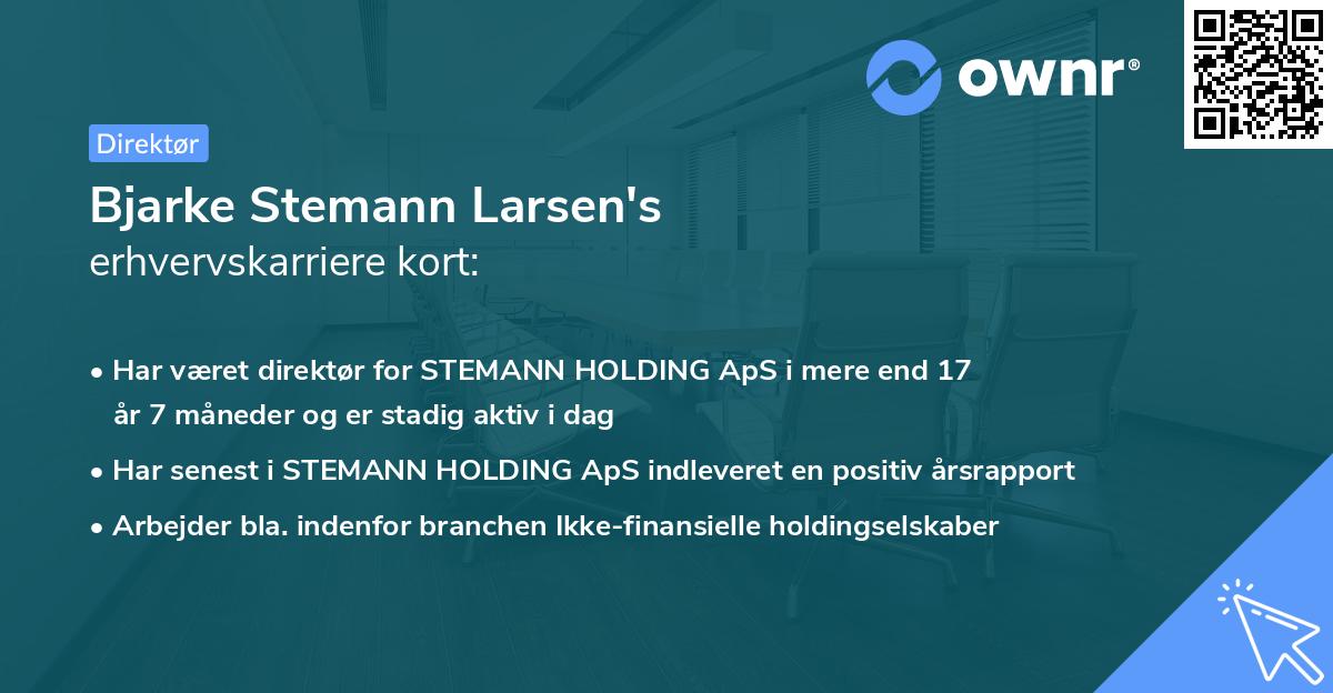 Bjarke Stemann Larsen's erhvervskarriere kort