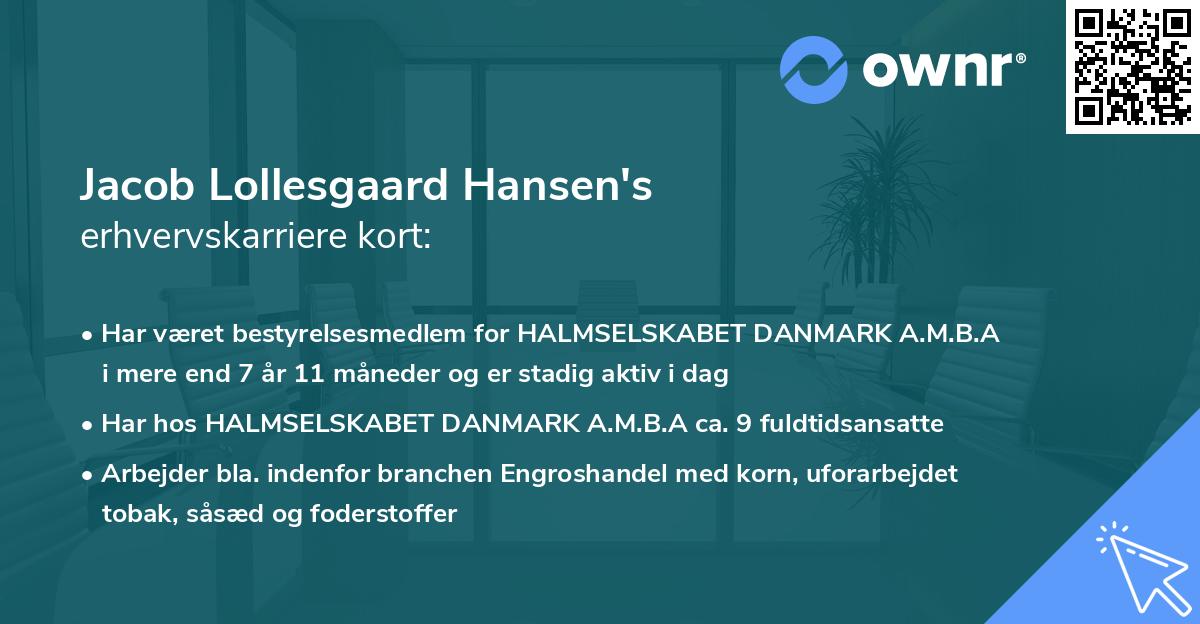 Jacob Lollesgaard Hansen's erhvervskarriere kort