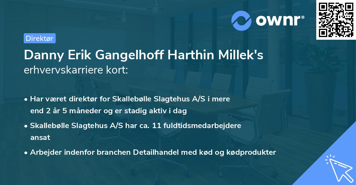 Danny Erik Gangelhoff Harthin Millek's erhvervskarriere kort