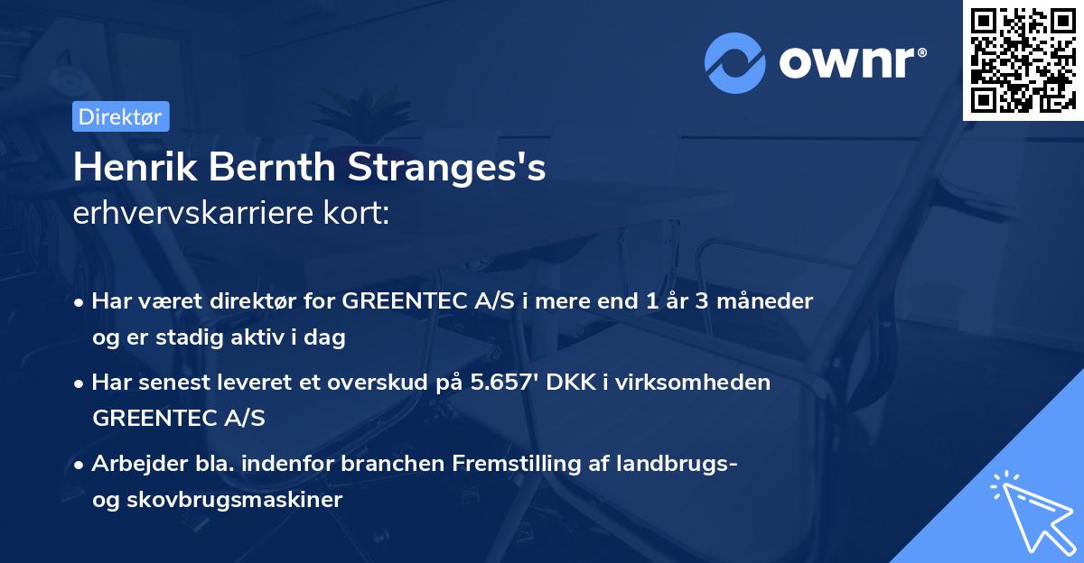 Henrik Bernth Stranges's erhvervskarriere kort
