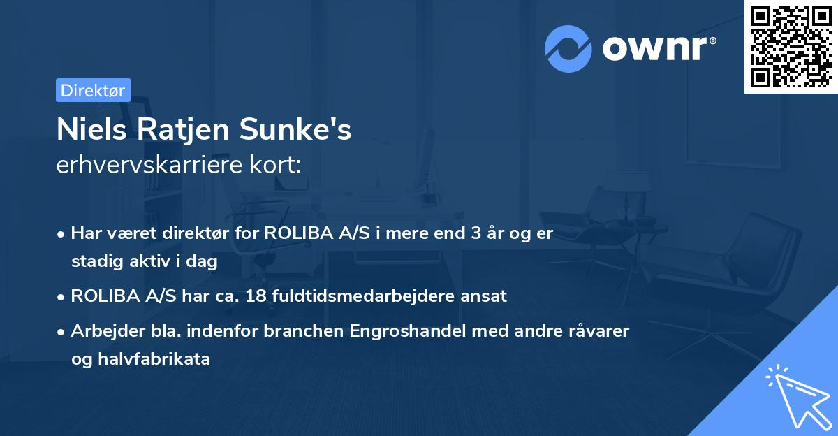 Niels Ratjen Sunke's erhvervskarriere kort