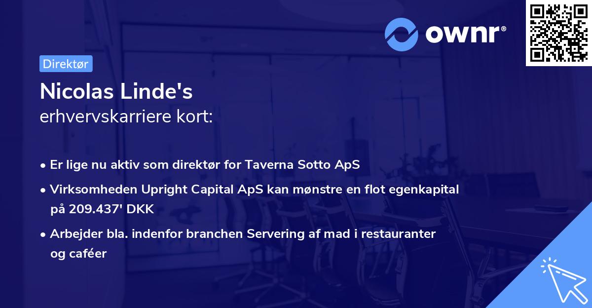 Nicolas Linde's erhvervskarriere kort