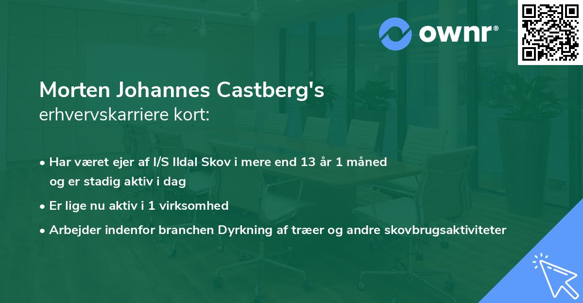 Morten Johannes Castberg's erhvervskarriere kort