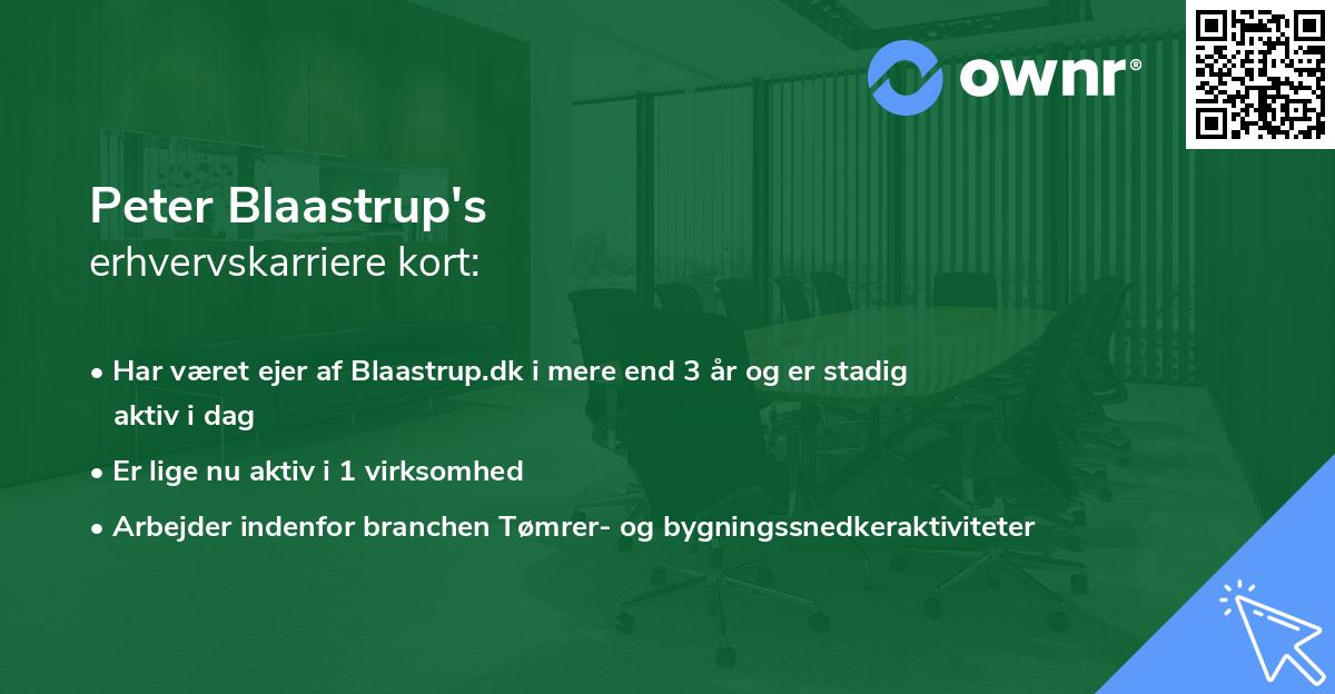 Peter Blaastrup's erhvervskarriere kort