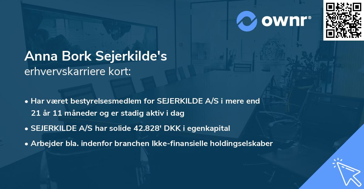 Anna Bork Sejerkilde's erhvervskarriere kort