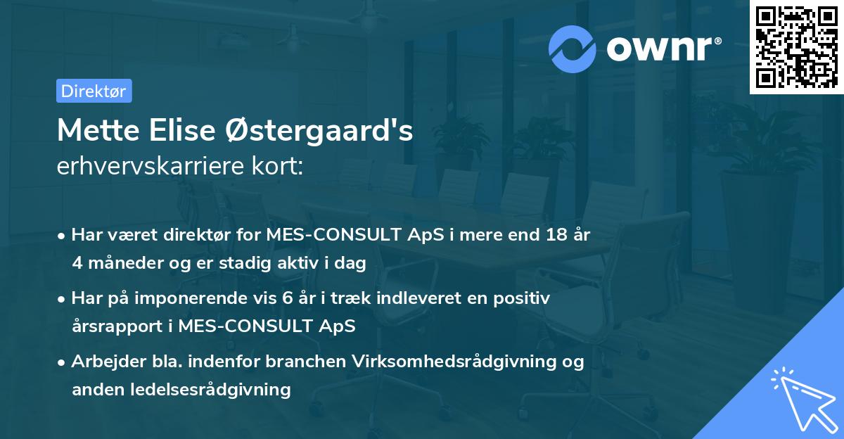 Mette Elise Østergaard's erhvervskarriere kort