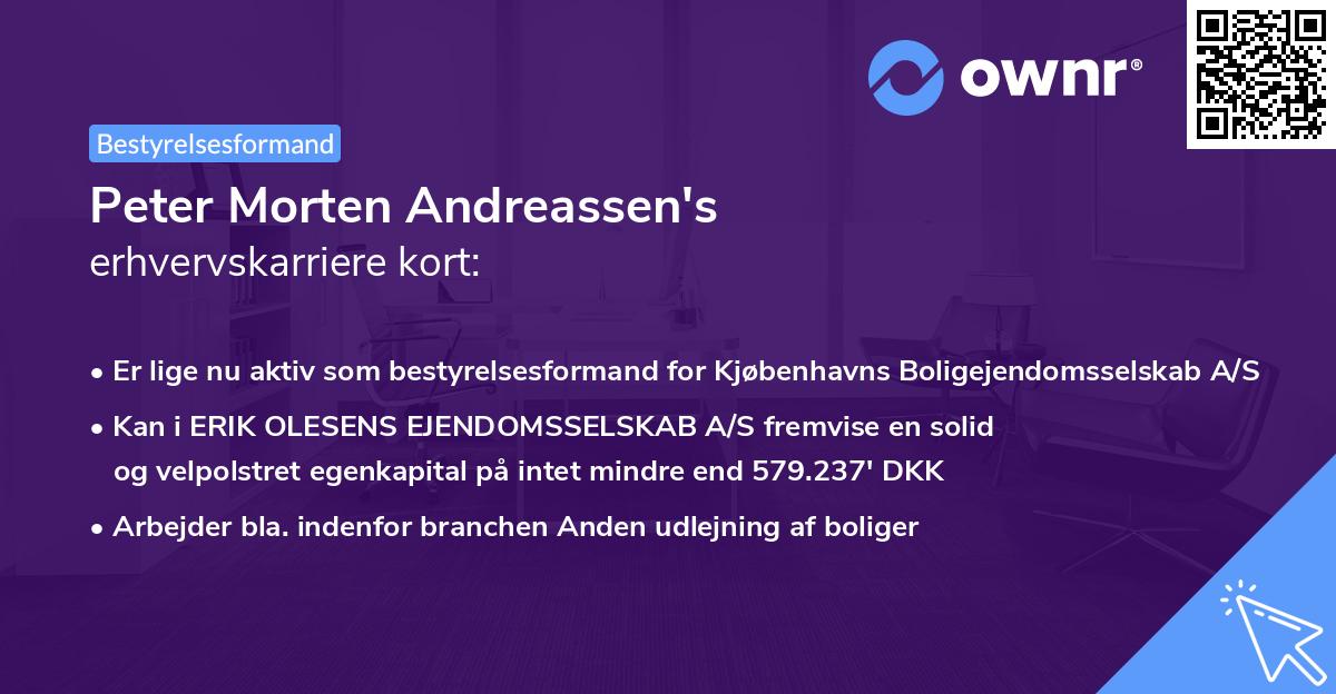 Peter Morten Andreassen's erhvervskarriere kort