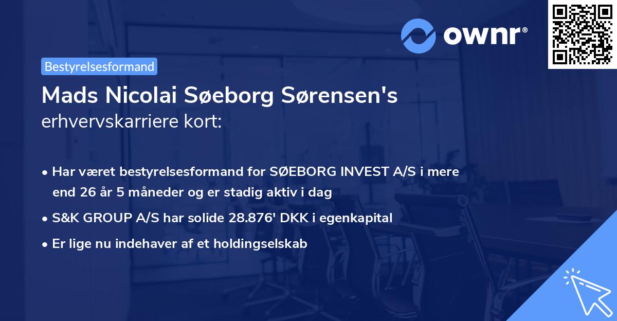 Mads Nicolai Søeborg Sørensen's erhvervskarriere kort