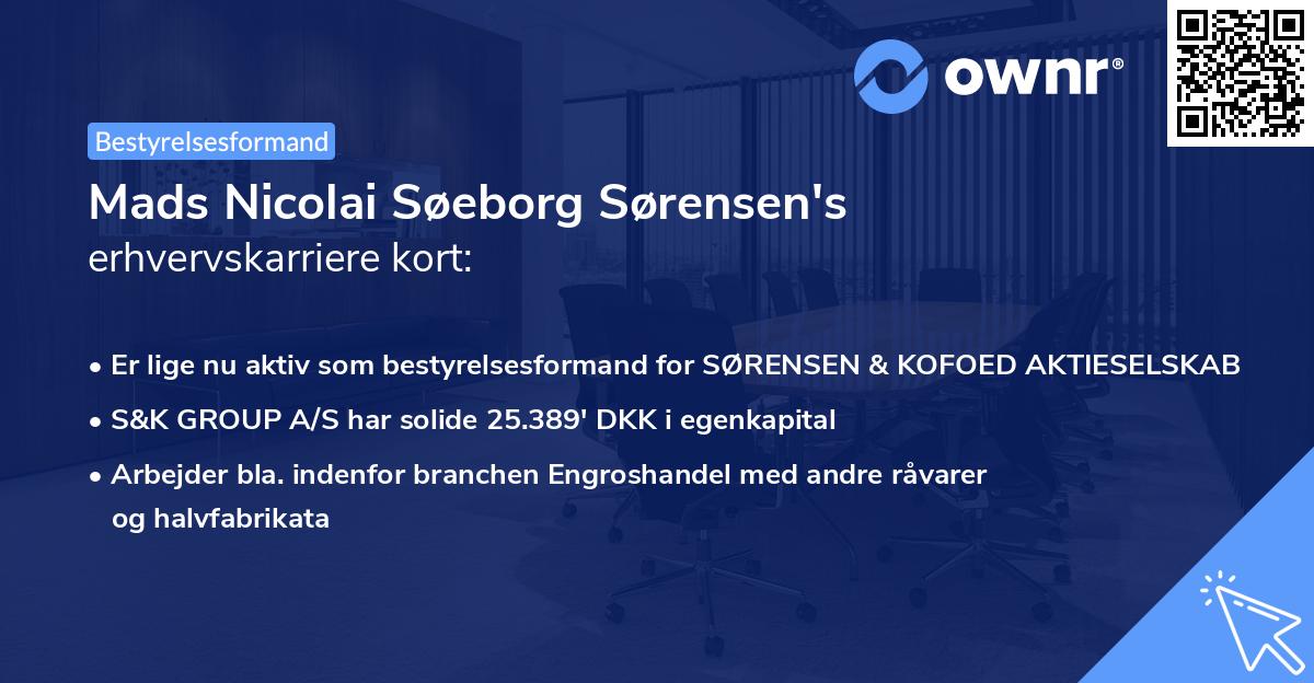 Mads Nicolai Søeborg Sørensen's erhvervskarriere kort