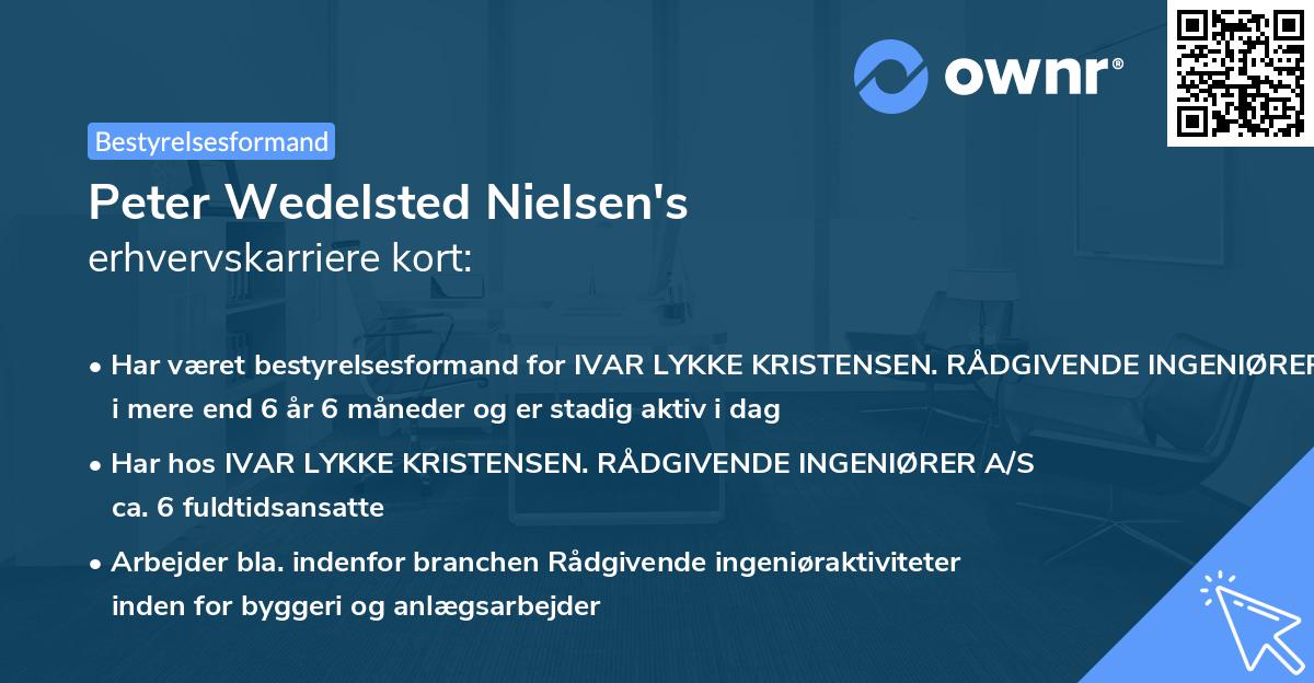 Peter Wedelsted Nielsen's erhvervskarriere kort