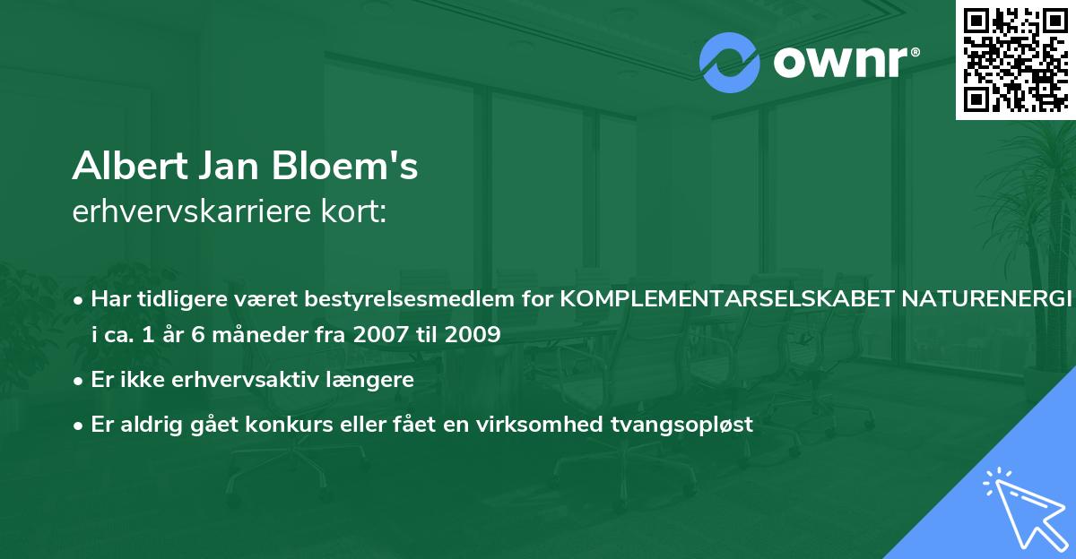 Albert Jan Bloem's erhvervskarriere kort