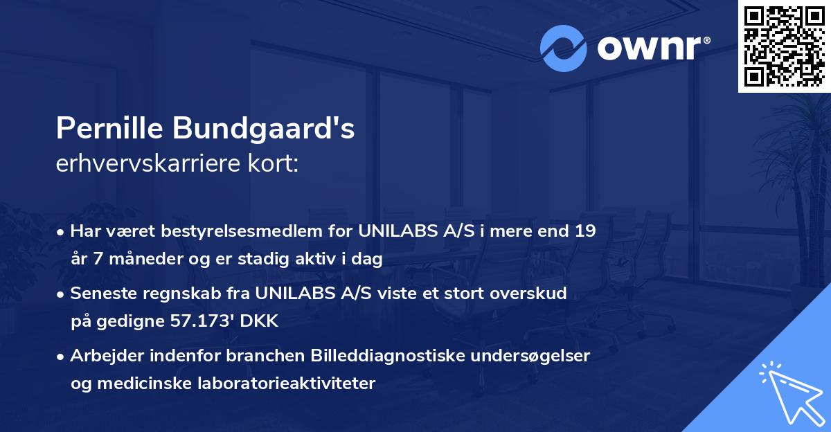 Pernille Bundgaard's erhvervskarriere kort