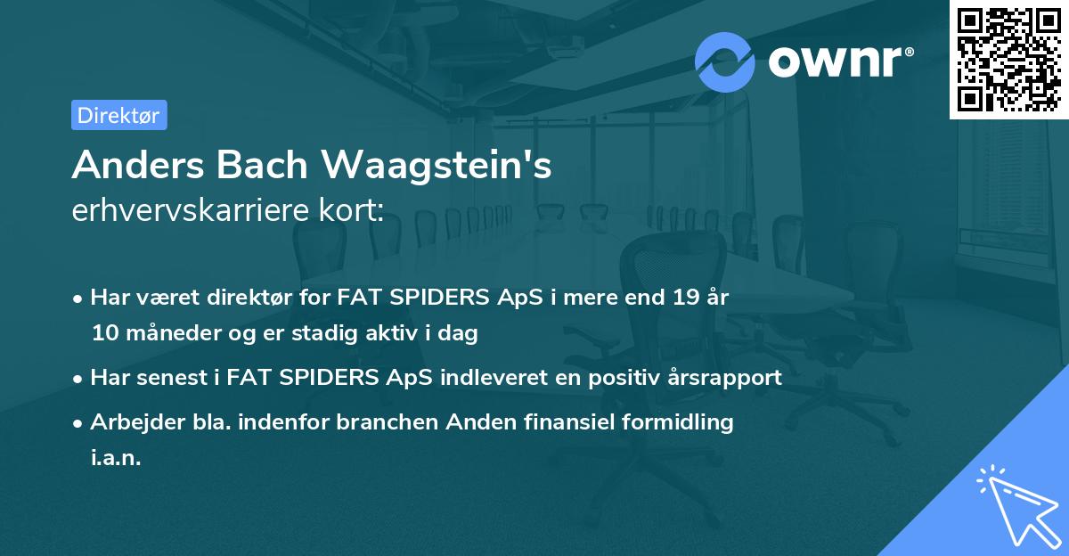 Anders Bach Waagstein's erhvervskarriere kort