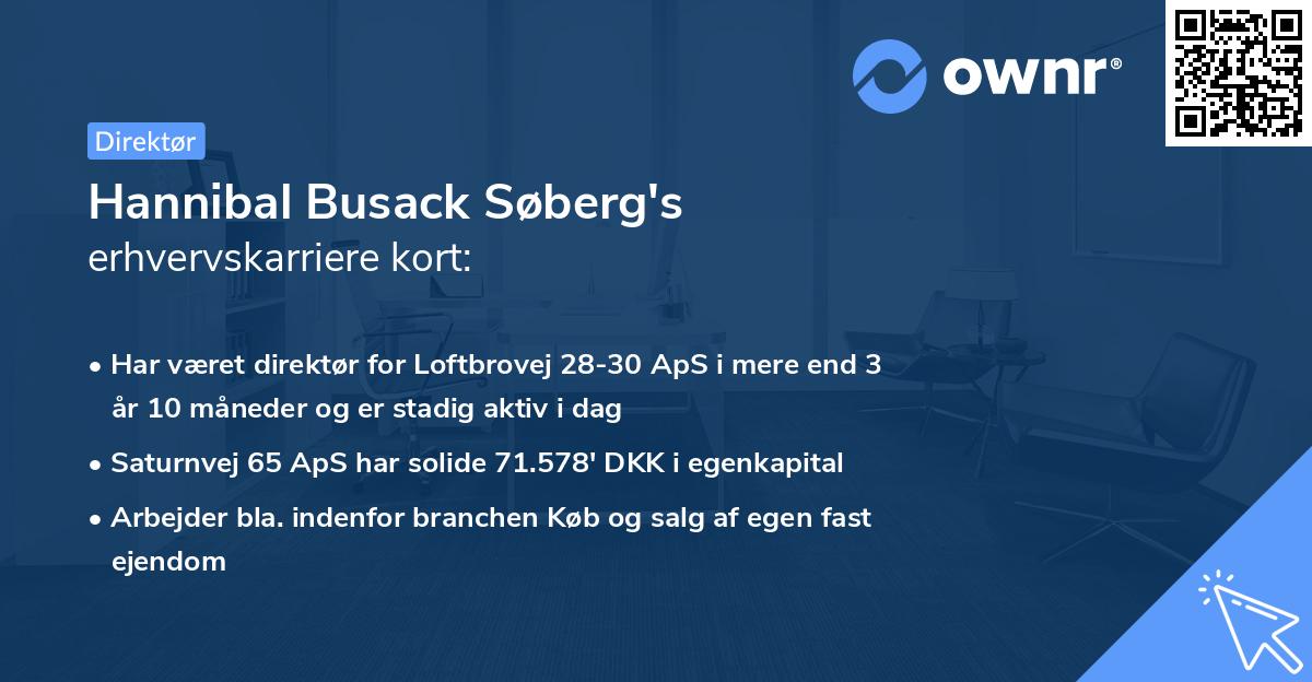 Hannibal Busack Søberg's erhvervskarriere kort