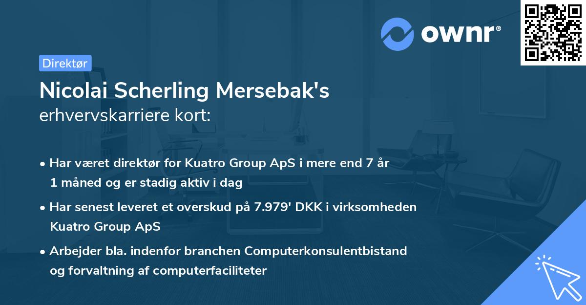 Nicolai Scherling Mersebak's erhvervskarriere kort