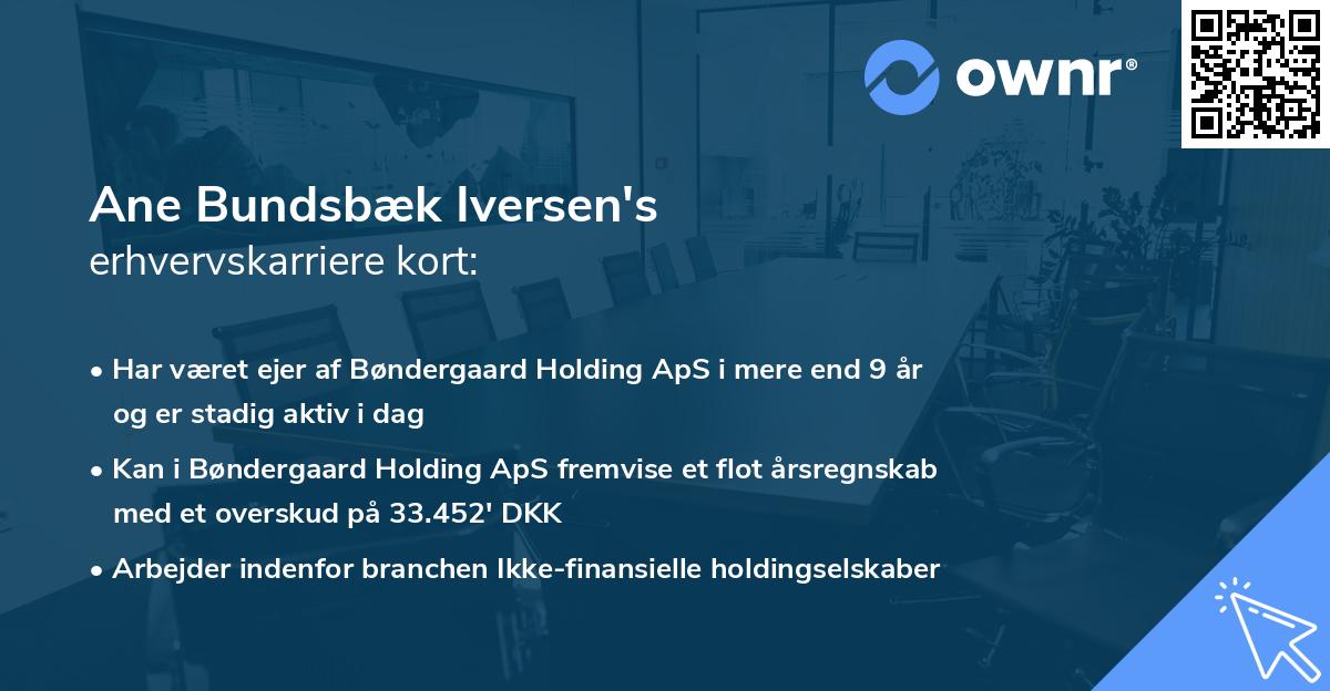 Ane Bundsbæk Iversen's erhvervskarriere kort
