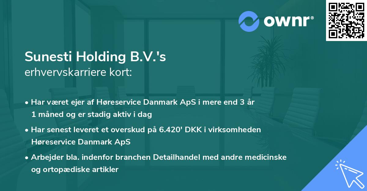 Sunesti Holding B.V.'s erhvervskarriere kort