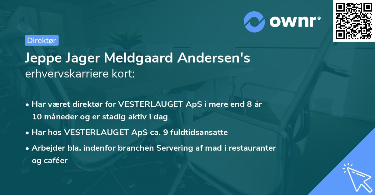 Jeppe Jager Meldgaard Andersen's erhvervskarriere kort