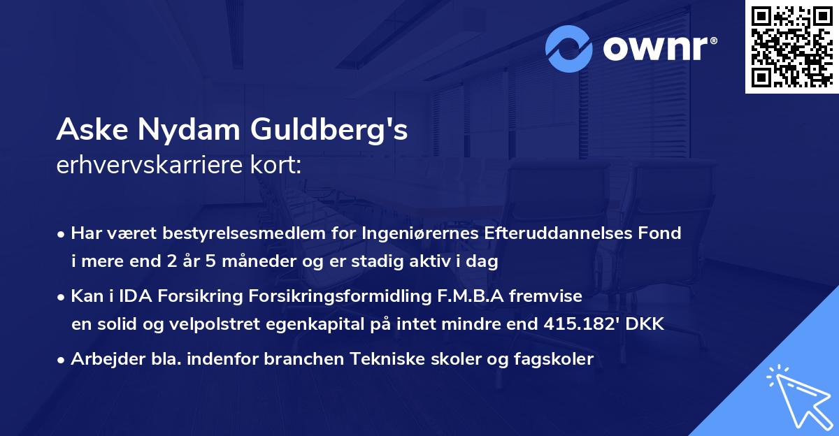 Aske Nydam Guldberg's erhvervskarriere kort