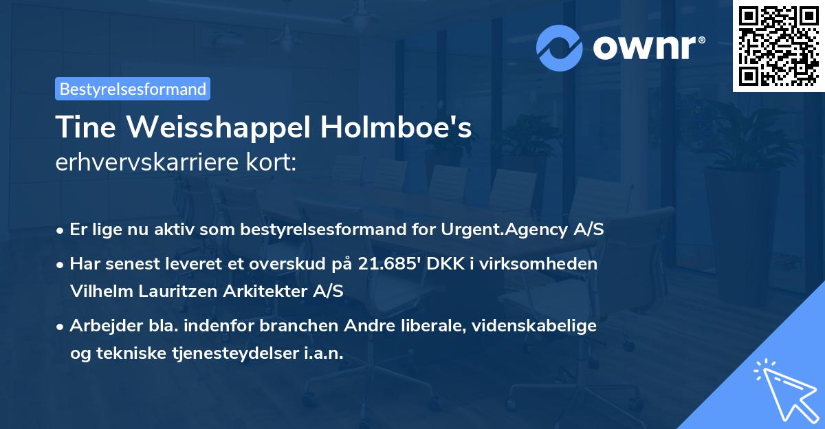 Tine Weisshappel Holmboe's erhvervskarriere kort