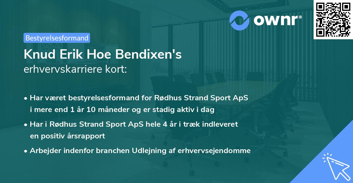 Knud Erik Hoe Bendixen's erhvervskarriere kort