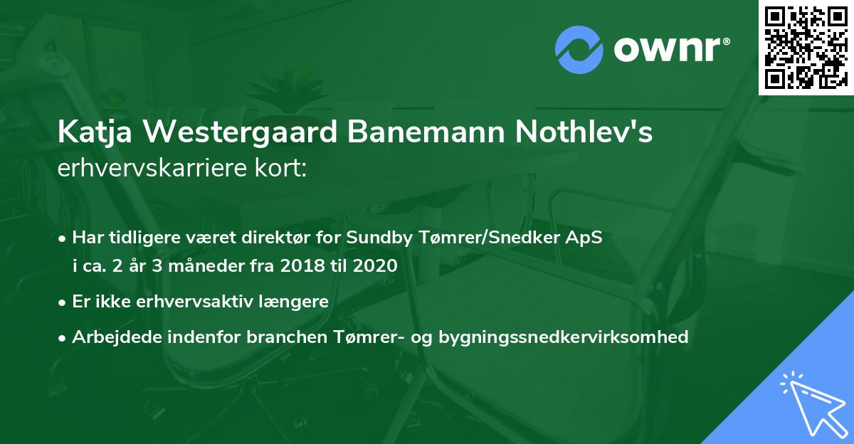 Katja Westergaard Banemann Nothlev's erhvervskarriere kort